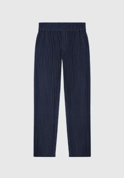 Pleated Trousers