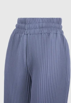 Pleated Trousers